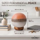 Himalayan Pink Salt Lamp Globe Crystal Night Light Dimmer Home Decor Gift Item