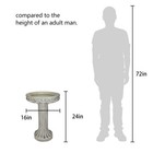 Concrete Birdbath For Gardens  Patios  And Birdwatching Enjoyment