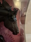 Breyerfest 2025 Halcyonia Night Life Limited Edition Black Welsh Cob