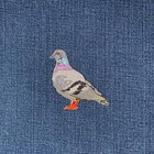 Rock Dove Pigeon Applique Patch - Embroidered Bird Badge 2 5   iron On 
