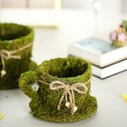 Green 2 Natural Moss Teacups Planter Boxes With Ribbons Wedding Party Event Sale