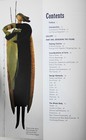 Designing The Doll Susanna Oroyan Dollmaking Skills Guide Book
