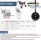 Adjustable Dog Wheelchair For Back Legs  Pet Legs Support Rehabilitation Train