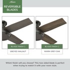 Hunter Fan 44in Noble Bronze Indoor Ceiling Fan With Remote Control And No Light