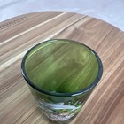 Souvenir Shot Glass Ocean Isle Beach N Carolina Dolphins Fish Coral Green Tint