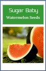 Sugar Baby Watermelon Seeds   Non-gmo Watermelon Seeds   Heirloom Garden Seeds
