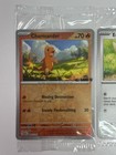 Charmander 004 165 Eb Games  Pikachu 025 165 Pok  mon Together 151 Eevee 133 165