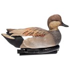 Avian X Power Swimmer Gadwall Drake Motion Duck Decoy With 10  Hour Battery