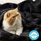Sherpa Fleece Throw Blanket For Couch  Soft Thick Warm Fuzzy Blanket 50 x60