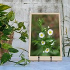 4 Pcs 4-1 4 Inch Plate Stands For Display Metal Iron Picture Frame Holders Stand