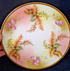 Antique Royal Rudolstadt Beyer And Bock Volkstedt Prussia Hand Painted Plate 8 