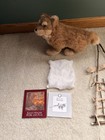 American Girl Kaya Tatlo And Travois Set Retired Dog Sled Boots Blanket Booklet