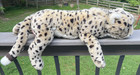 Fao Schwarz Cheetah Leopard Cat Plush Realistic Stuffed Animal Toys R Us 2015