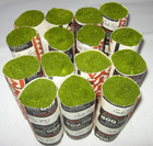 15 Emile Bernat   Sons Bernat 100  Wool Rug Yarn Mid Olive Green Vintage Nos