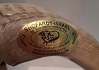 Shofarot-israel Kosher Ram s Horn Shofar 10 Inch W  Shofar Zion Bag   Stand