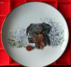 Doberman Pinscher Dobe Uncropped Ears Plate Made In England Vintage Dish 8 25     