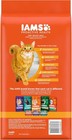 Iams Proactive Health Adult Healthy Dry Cat Food With Salmon  3 5 Lb  Bag