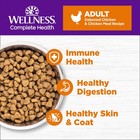 Complete Health Adult Dry Cat Food For Indoor And Outdoor Cats  Grain Free  N   