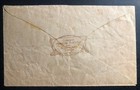 1952 Nukualofa Tonga Toga Islands Photo Bureau Cover To Detroit Mi Usa