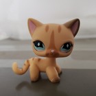 Littlest Pet Shop Lps Collection  886 Yellow Short Hair Cat Cream Stripe Kitty