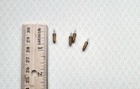 Dollhouse Screw Base Candle Tip Bulbs Set Of 4 Replacements 1 12 Scale Ck1010-29