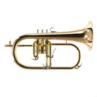 Yamaha Model Yfh-8315iig Custom Series Bb Flugelhorn Mint Condition
