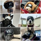 Enjoying Dog Goggles Anti-uv Black silver Lenses For Medium To Large Breed Green