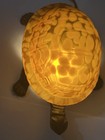 Warm Evening Light  Glass   Cast Iron Turtle Nightlight Vintage Amber Yellow