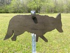 15  X 30  X 3 8  Ar500 Coyote Silhouette Steel Shooting Target 1pc Range hunting