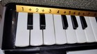 Silvertone Vintage Melodica Case Keyboard Harp Harmonica Mouth Organ Piano Italy