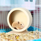 Hamster Wood Running Wheel Silent Hamster Wheel Wooden Hamster Wheel