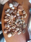 Mixed Carnelian Agate Rough Specimens   10 Pounds Mixed Agates