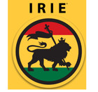 New Full Sealed Box Irie King Size Slim Rolling Papers  50 Packs  50 Leaves Each