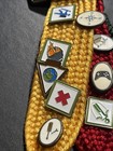 Vintage Boy Scout Cub Webelos Color Ribbons With 15 Activity Pins Tassel