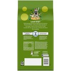 Crunchy And Soft Cat Treats With Catnip Fever Flavor  48 Oz Tub