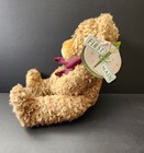 First And Main Scraggles Brown Plush Soft Toy Teddy Bear