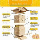  Mini 10x Beehive Bee Hive Frames   Beekeeping Brood Fir Box   Bee Honey Filter