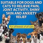 Hemp Oil For Dogs Cats Anxiety  Pain stress Calming Drops 100  Organic 60ml