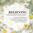 Burt s Bees For Dogs Paw   Nose Relieving Lotion With Chamomile   Rosemary 6 Oz