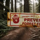 Vintage Us Forestry Service Porcelain Sign Smokey Bear Prevent Forest Fires Usfs