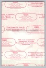 Cyndi Lauper The Deadly Cyns Tour 1994-95  Cloth Guest Backstage Pass