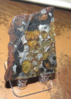 55 Gm Sericho Pallasite Meteorite Slice   Kenya  Olivine  Stand Jal