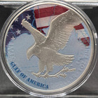 2025 1 Oz 999 U s  Silver Eagle Coin Gulf Of America Colorized Edition  542