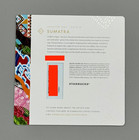 2017 Starbucks Card Tristan Eaton Sumatra Special Edition Mint  Not Loaded - New
