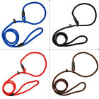 Durable Nylon Slip Lead Dog Leash Adjustable Pet Puppy Training Collar Loop Rope