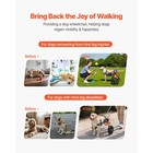 Uimoso Adjustable 2-wheel Dog Wheelchair For Hind Leg Support And Mobility