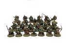 New Rohan Warriors Army  24 Lord Of The Rings Warhammer Hobbit 28mm Painted