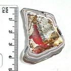 Dvh Kenworth Truck Fordite Polished Face Specimen Chillicothe Ohio Ass   6564 