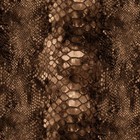 Serpent Camouflage 45 - 16  X 48   Hydrographic Film Hydro Dipping