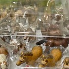 Schleich Horses  One Box Of Unused Miniature Animals